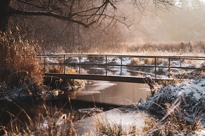 Paysage hivernal du Mecklembourg