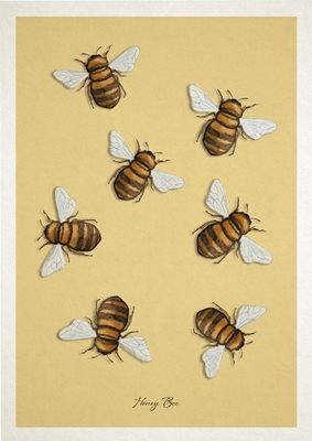 Honing bijen 