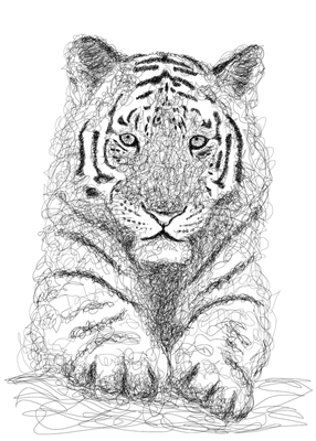 Skriblet tiger