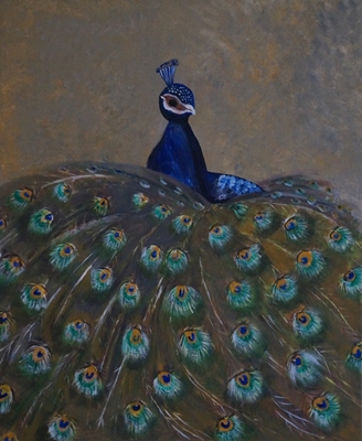large peacock
