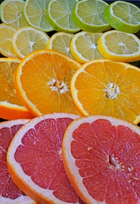 Citrus fruits in slices