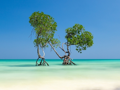 Tropisk strand på Andamanerna
