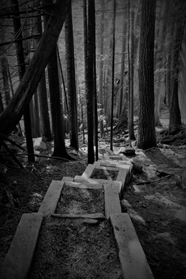 Sorte og hvide trapper i skoven
