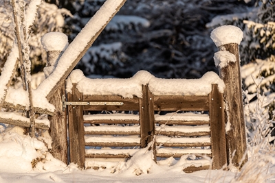Old gate covered with snow