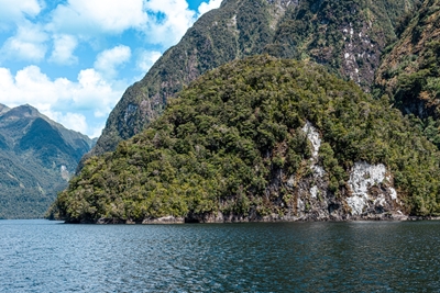 Uuden-Seelannin luonto