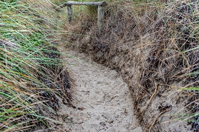 Sand dunes and a pathway