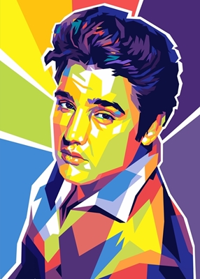 Elvis Presley Arte Pop