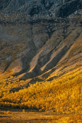 Podzimní hora