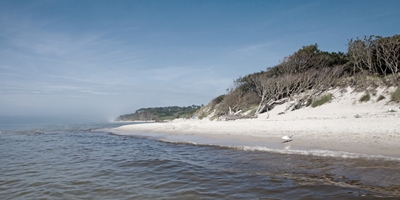 Spiaggia del Mar Baltico