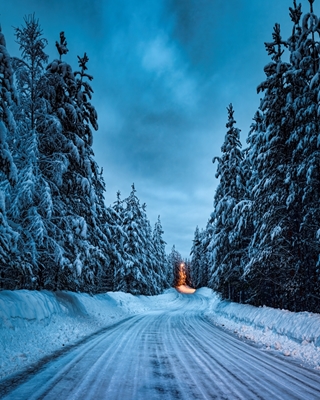 Estrada de inverno