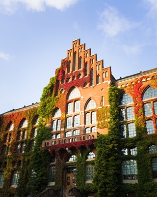 Lundin yliopiston kirjasto