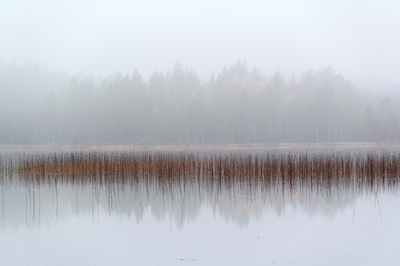 Día de niebla en el lago.