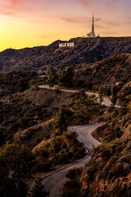 Hollywood Hills 