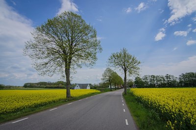Primavera em Skåne