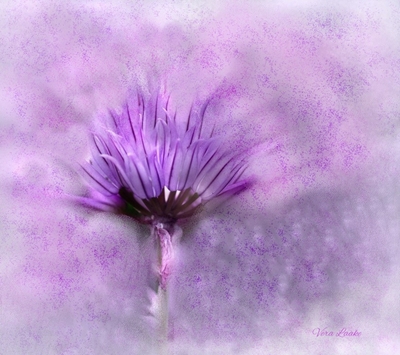 Violetti akvarellblomma