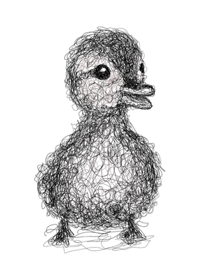 Scribbled Duckling