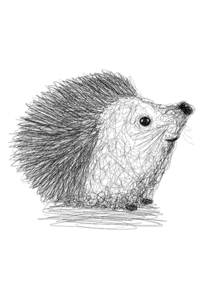 Scribbled Hedgehog