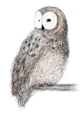 Scribbled Owl