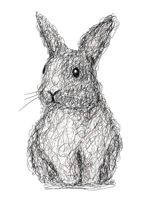 Scribbled rabbit