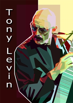 Toni Levin Pop Art WPAP