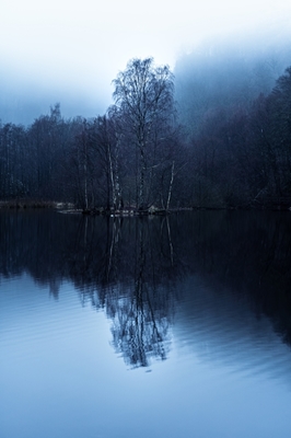 Mlhavé ráno u jezera