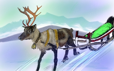 Reindeer sleigh
