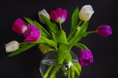 Tulipanes en jarrón