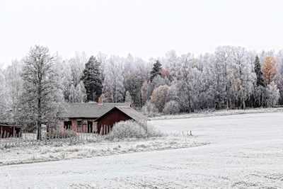 Het landschap van de winter
