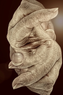 Handsculptuur – Vier