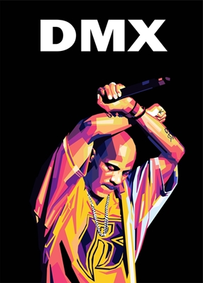 DMX 