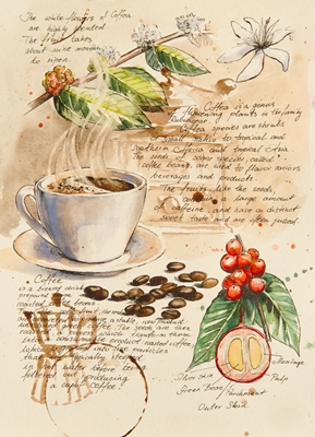 Du carnet botanique - café II