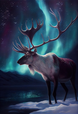 Northern light Reindeer
