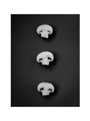 Three slices of mushroom