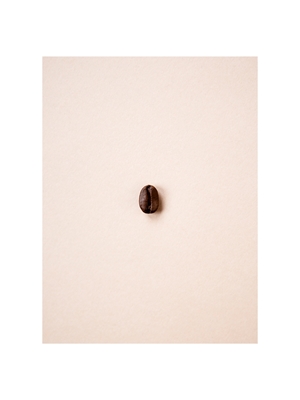 Coffee beans in earth tones 1
