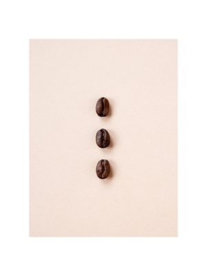 Coffee beans in earth tones 3