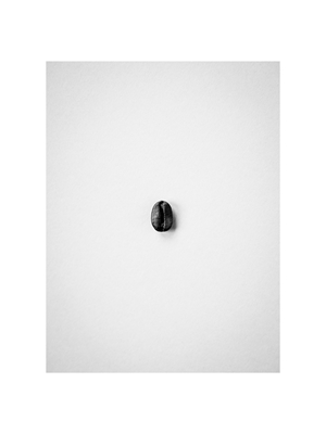 Coffee beans in grayscale 1