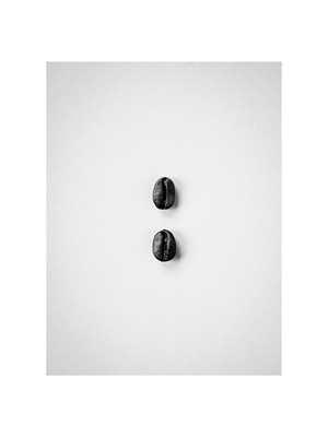 Coffee beans in grayscale 2