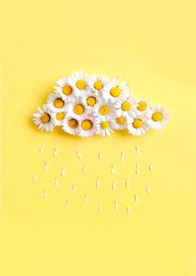 A cloud made of daisies 