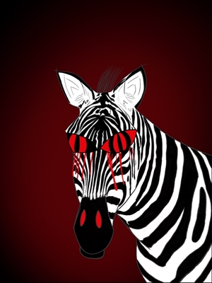 Angry zebra