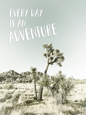 Every day is an adventure 