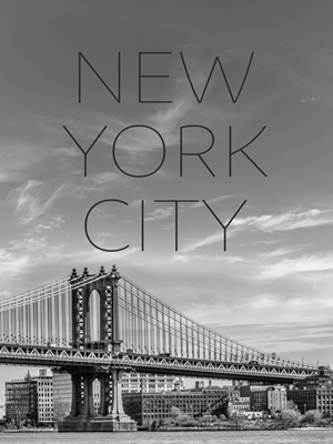 Ponte di Manhattan di New York 