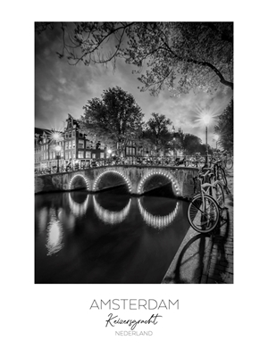 In focus: AMSTERDAM at night