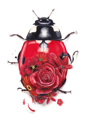 Flowery Ladybug