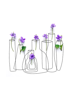 Violetas en jarrones
