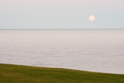 The grass, the sea, the moon