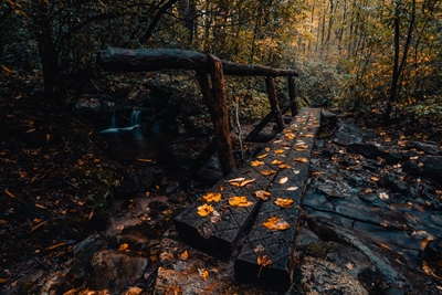Podzimní most