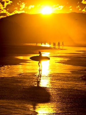 Surfer i solnedgang