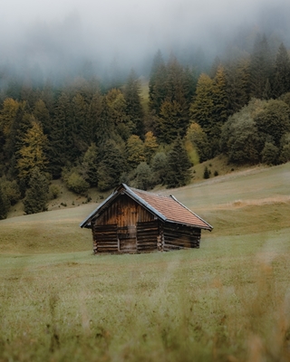 Cabin in the foggy Forest posters & prints by Patrick Groß - Printler