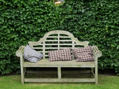 bench in a garden