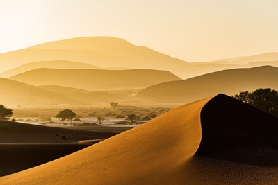 Zonsondergang in de woestijn